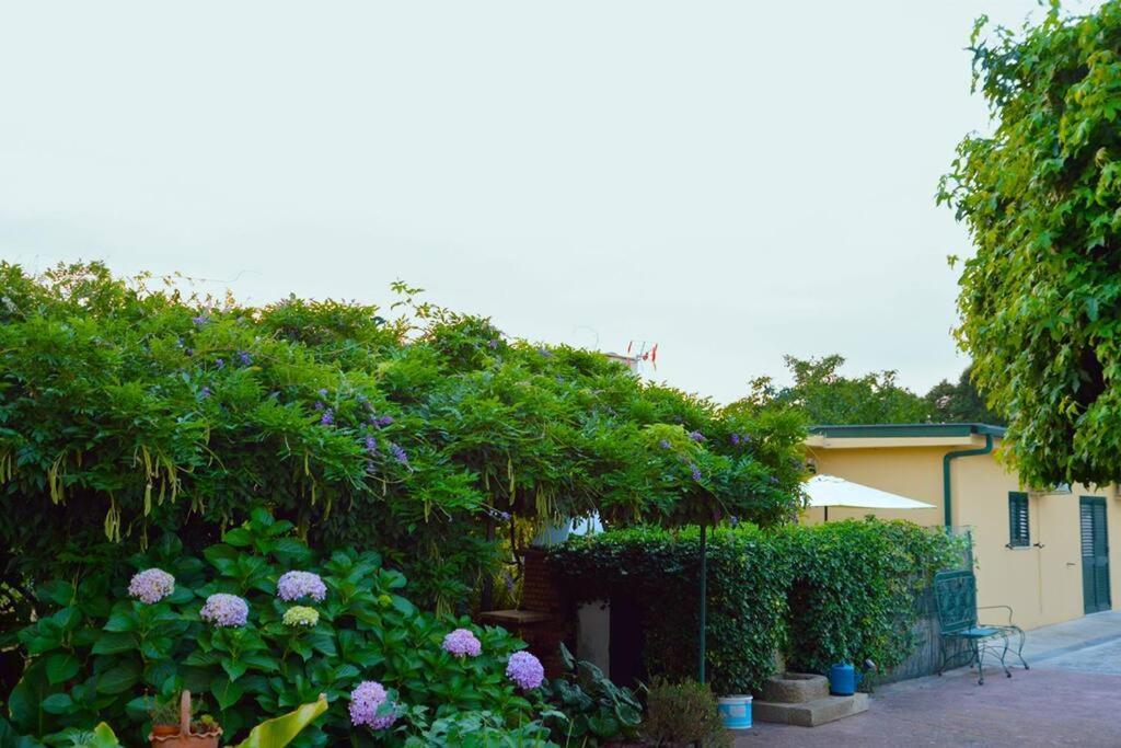 A Tintureira Villa São Martinho de Antas Dış mekan fotoğraf