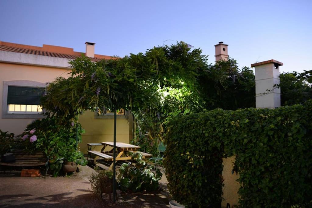 A Tintureira Villa São Martinho de Antas Dış mekan fotoğraf