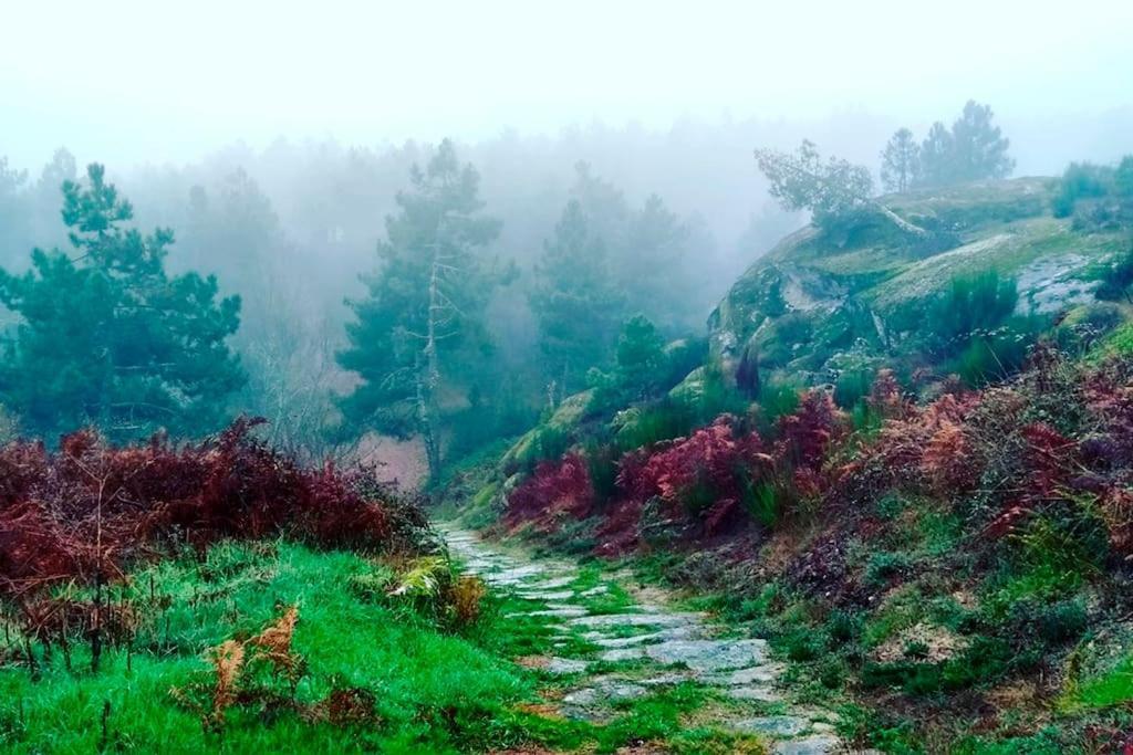 A Tintureira Villa São Martinho de Antas Dış mekan fotoğraf