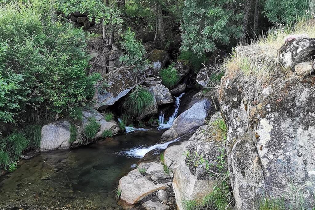 A Tintureira Villa São Martinho de Antas Dış mekan fotoğraf
